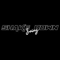 Standard Shakedown T-shirt - AS Colour Womens Mali Tee Design